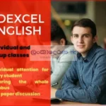 2023 ONLINE/INDIVIDUAL ENGLISH CLASSES FOR EDEXCEL/CAMBRIDGE STUDENTS + PAPER REVISION CLASSES BY LADY