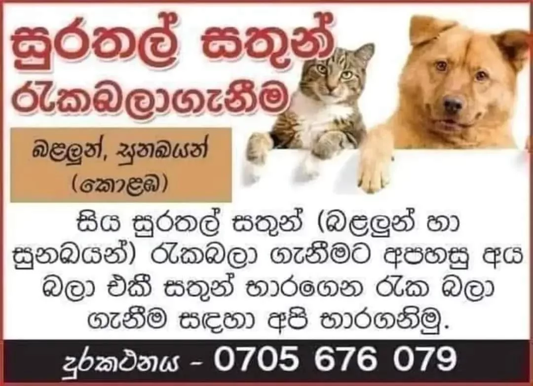 Pet care