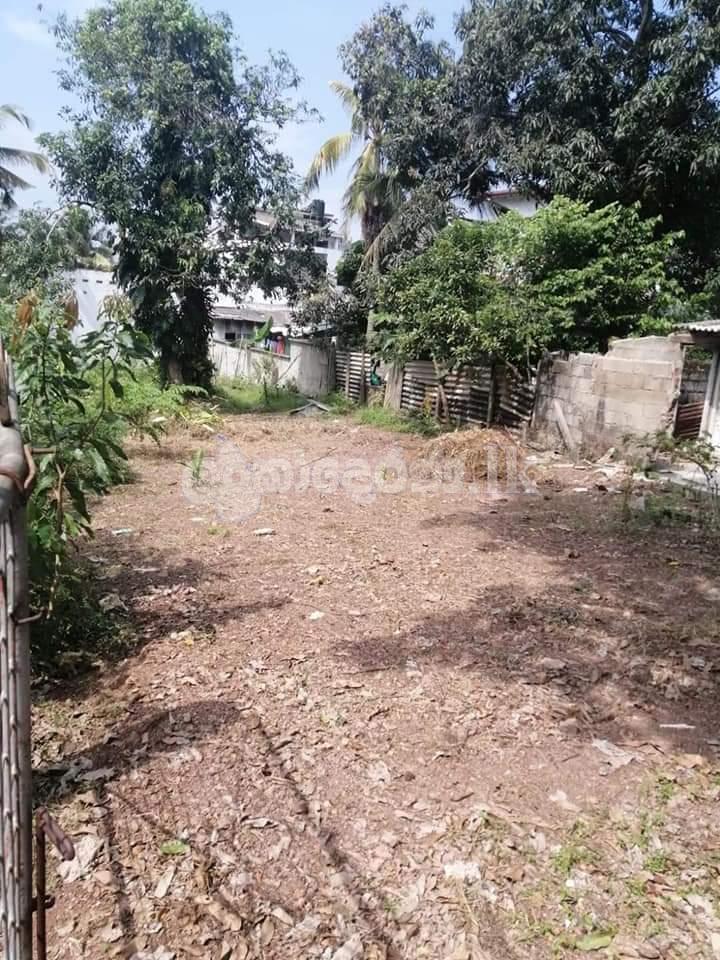 1 Land For sale Ethul Kotte