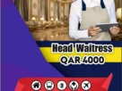 Head Waitress