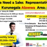 Sales Representatives