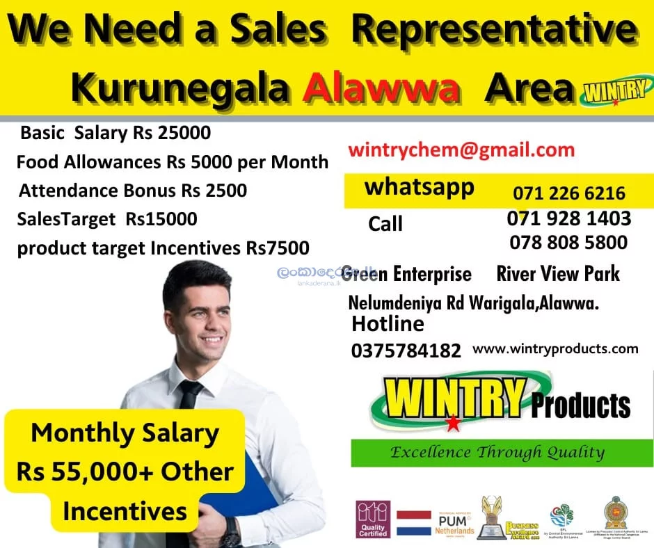 Sales Representatives