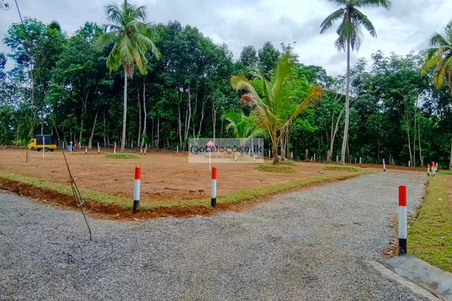 Valuable Land for Sale – Nittambuwa