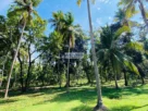 Valuable Land for Sale – Katunayake