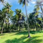 Valuable Land for Sale – Katunayake