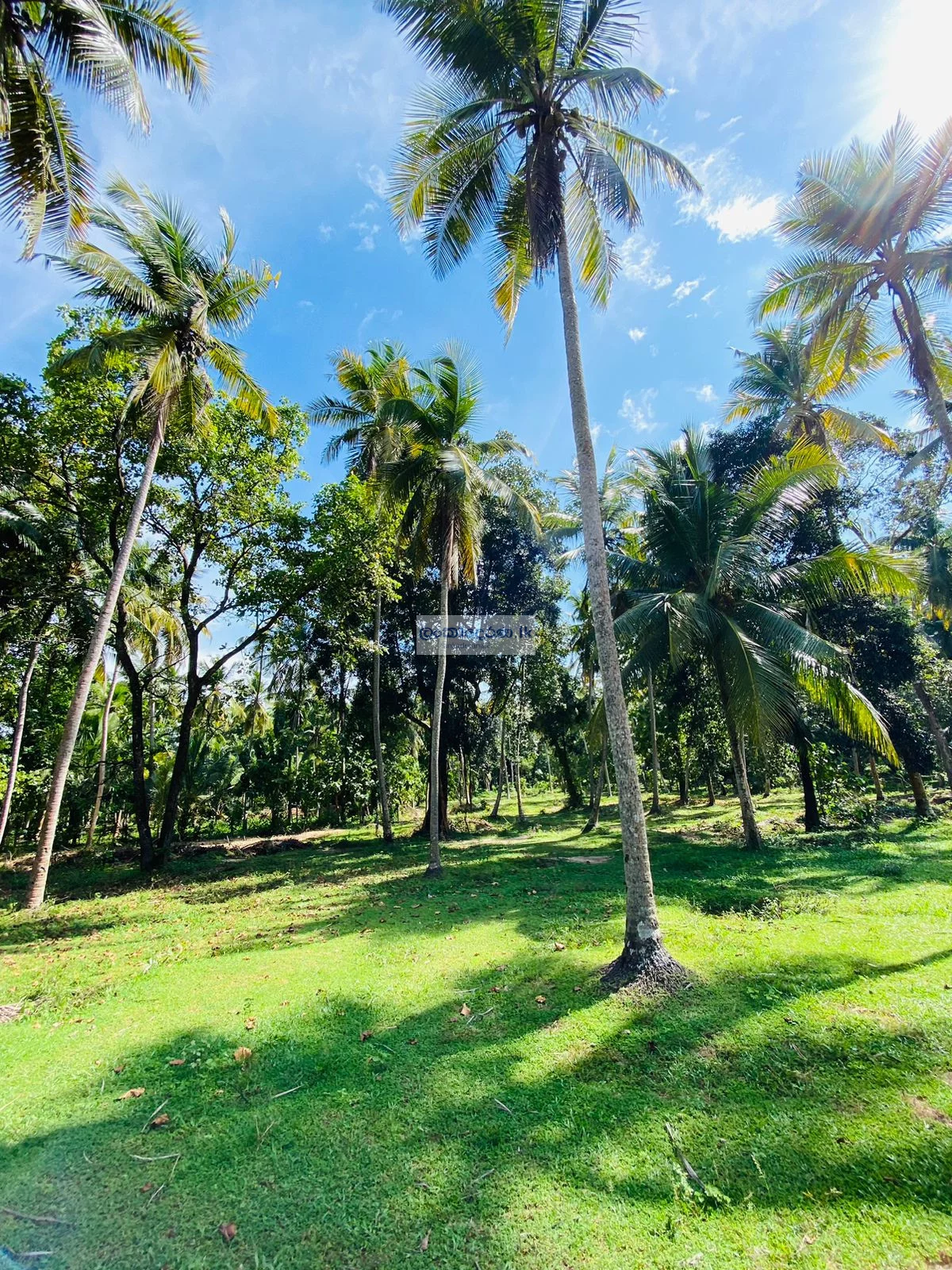 Valuable Land for Sale – Katunayake