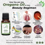 Oregano oil