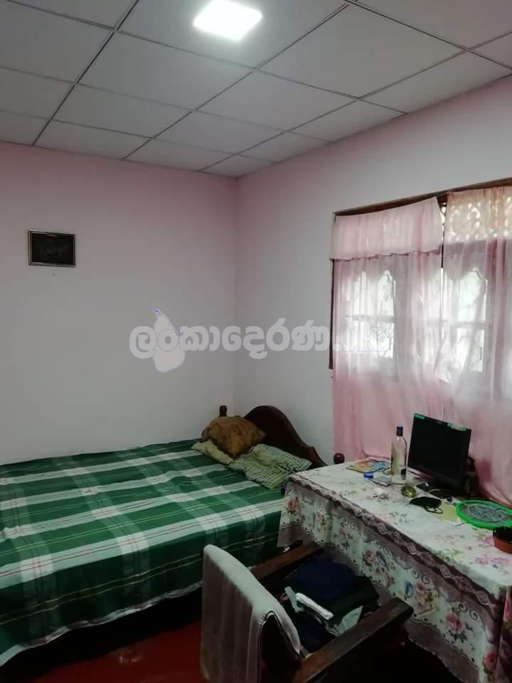 House for sale