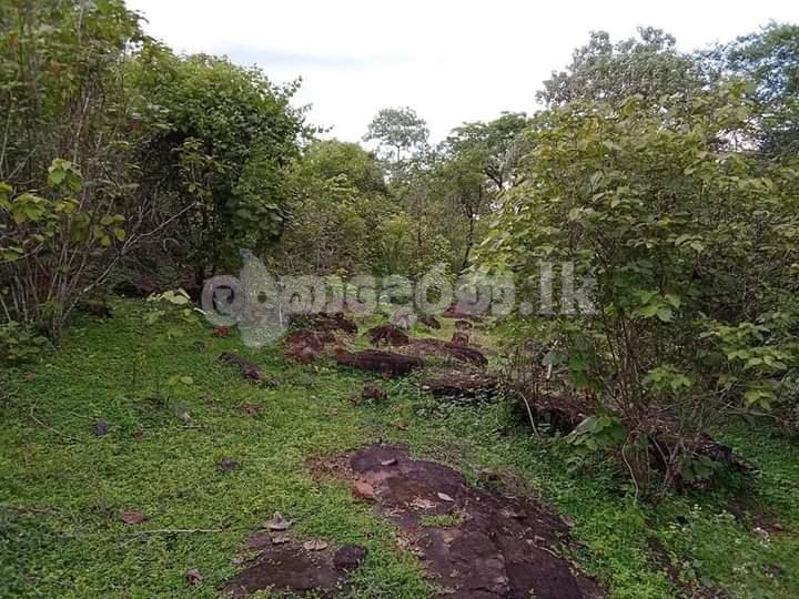 Land for sale