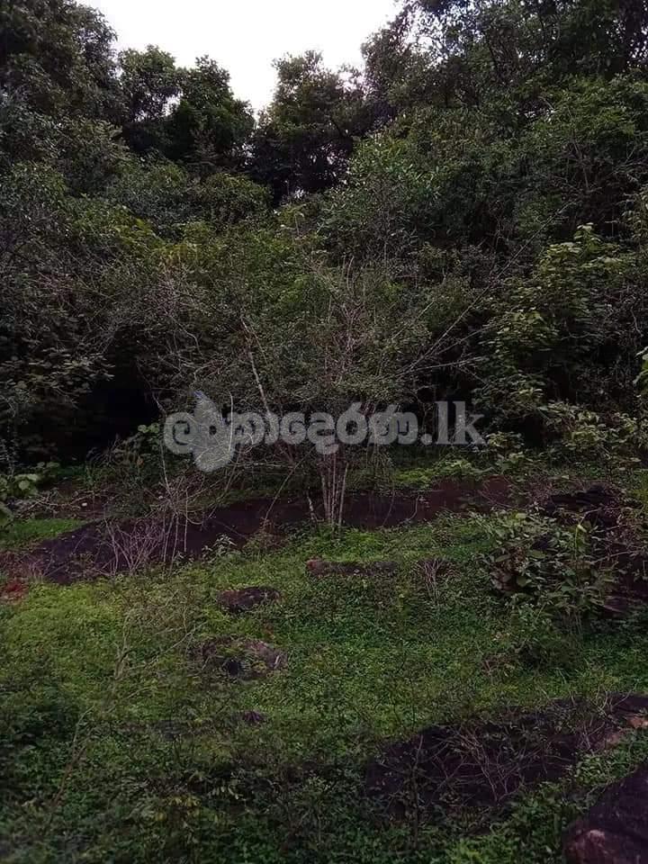 Land for sale