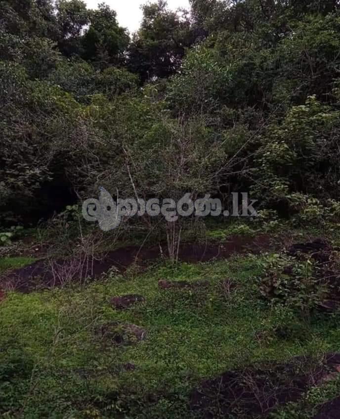 Land for sale