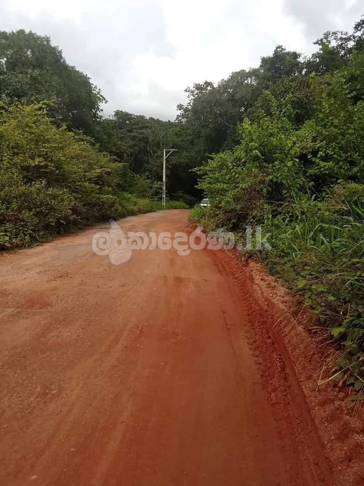 Land for sale