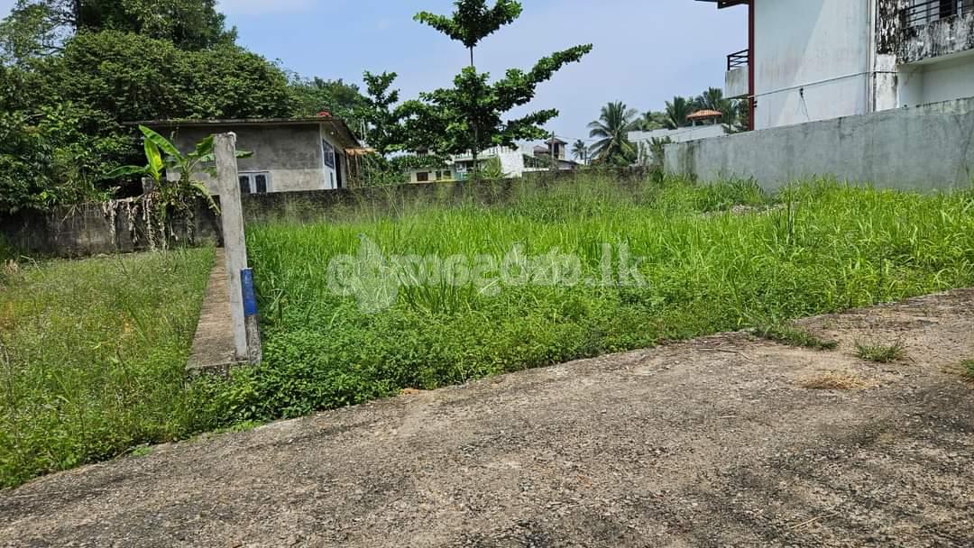 Land for sale