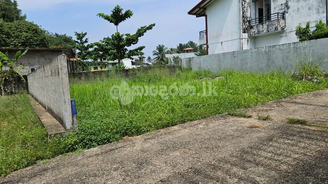 Land for sale