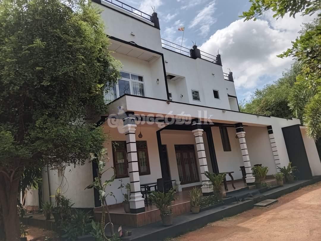 Room for rent Anuradhapura