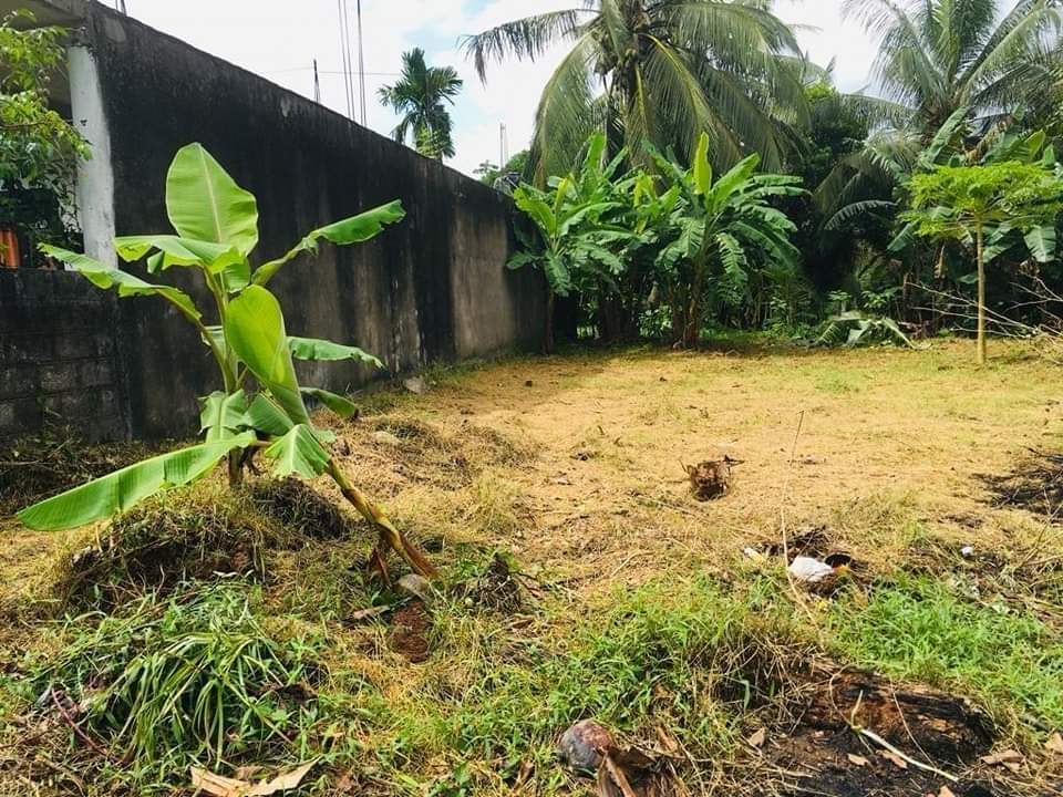 Land for sale