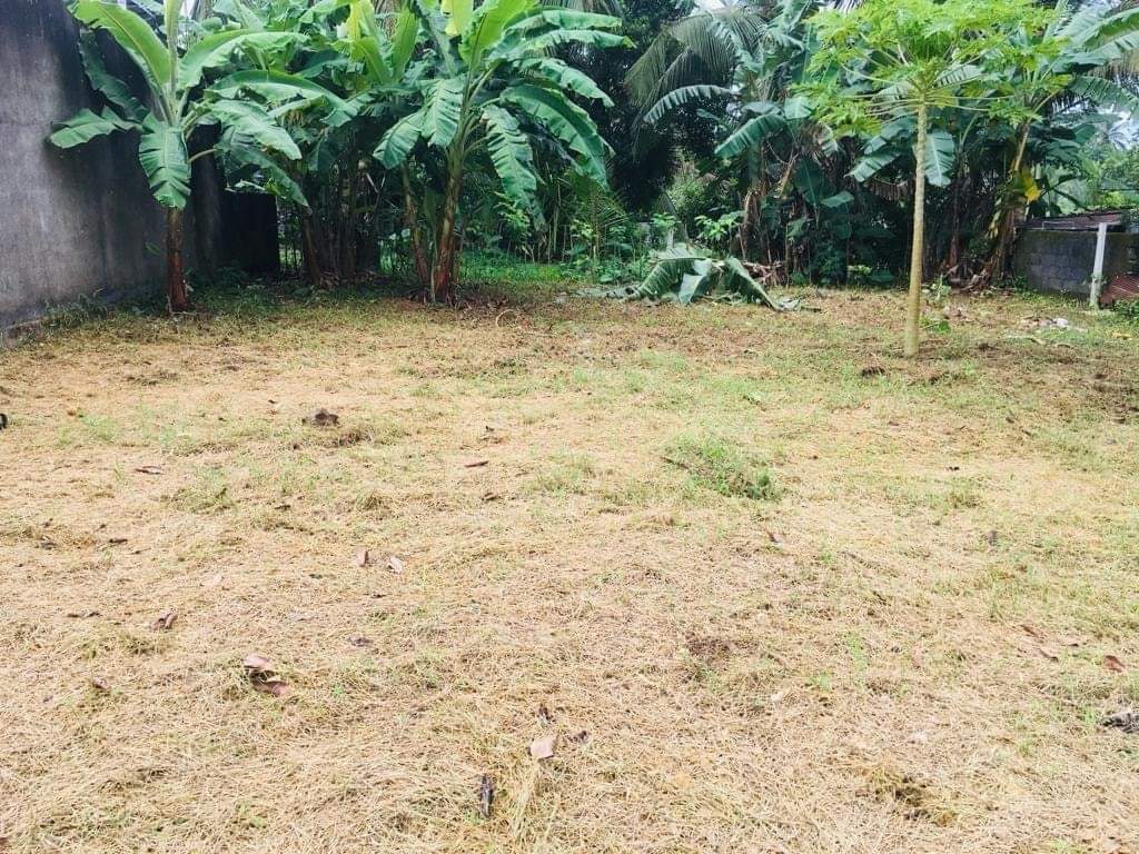 Land for sale