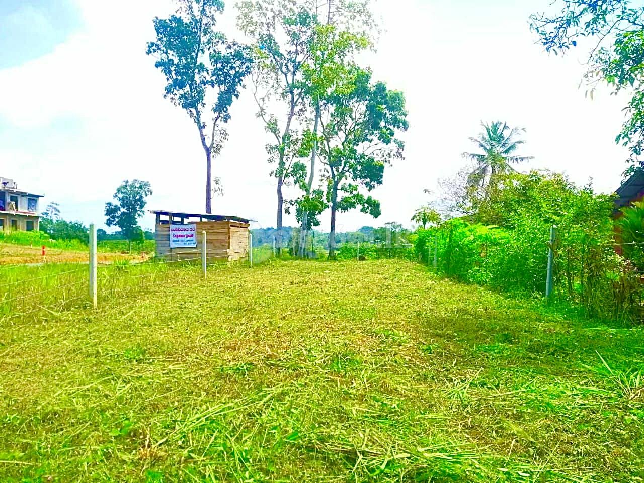 Land