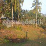 Code3710A Land for sale Anurdhapura