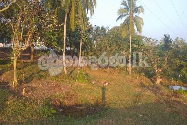 Code3710A Land for sale Anurdhapura