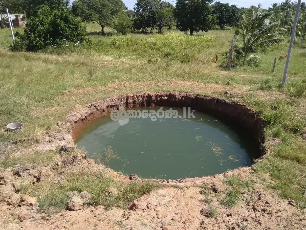 Code 3710B aland for sale Anurdhapura