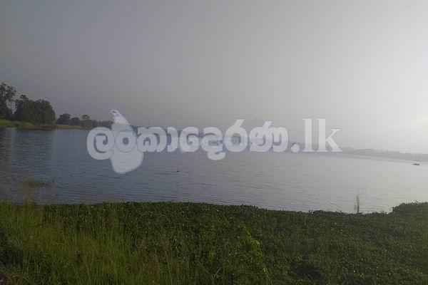 Code3710A Land for sale Anurdhapura