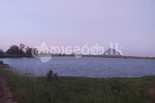 Code3710A Land for sale Anurdhapura