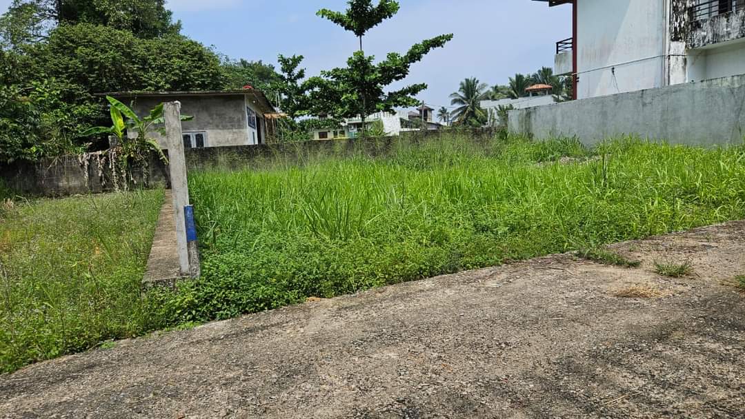 Land for sale