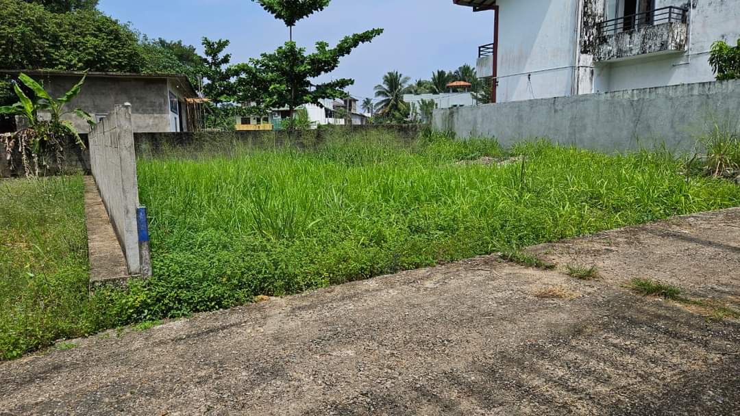 Land for sale