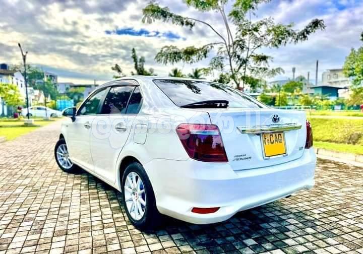 AXIO G GRADE ( 2016 )