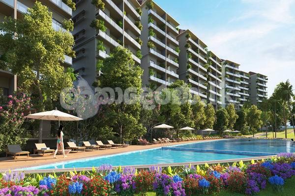 Code 3715 Apt rent Piliyandala