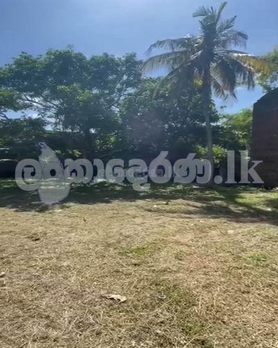 Code 3733 Land for sale Negombo