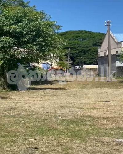 Code 3733 Land for sale Negombo
