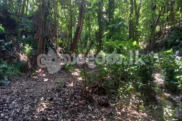 Code 3730 Land fir sale Kandy