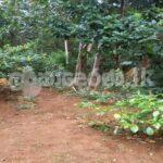 Code 3730 Land fir sale Kandy