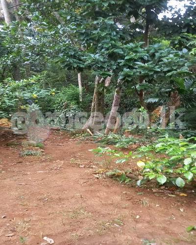 Code 3730 Land fir sale Kandy