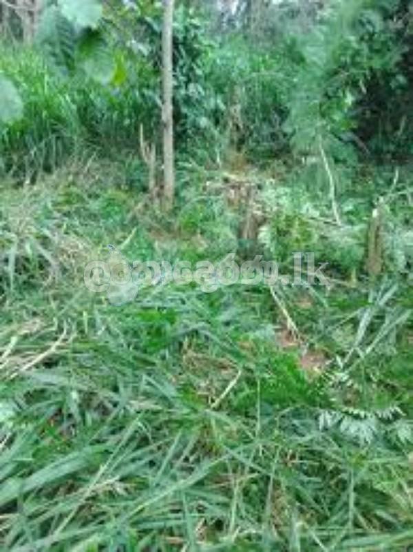 16 Perch Residential Land in Haragama