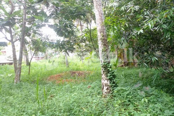Code 3741 Land with a house for sale Horana