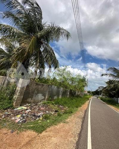 Code 3742 Land for sake Kalpitiya