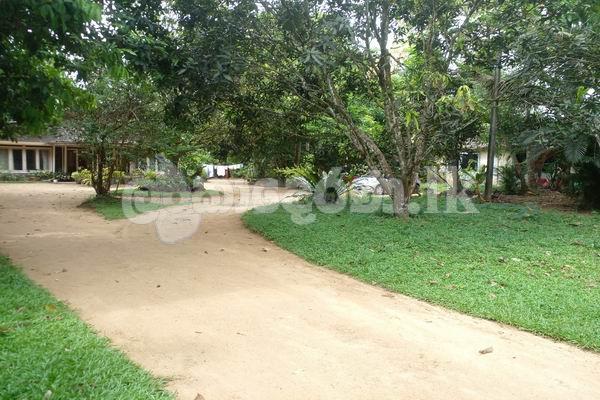 Code 3741 Land with a house for sale Horana
