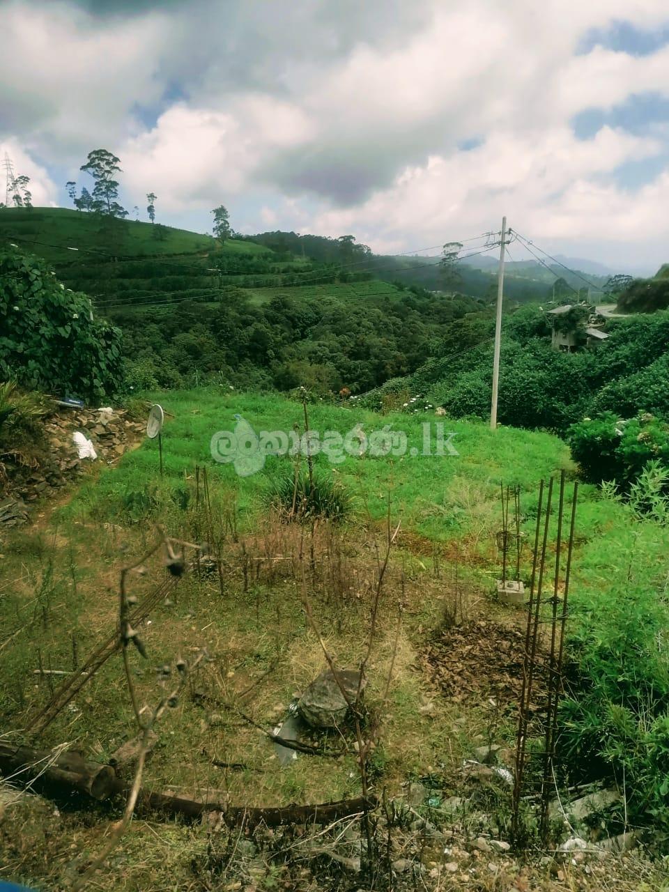 Land in Nuwaraelliya