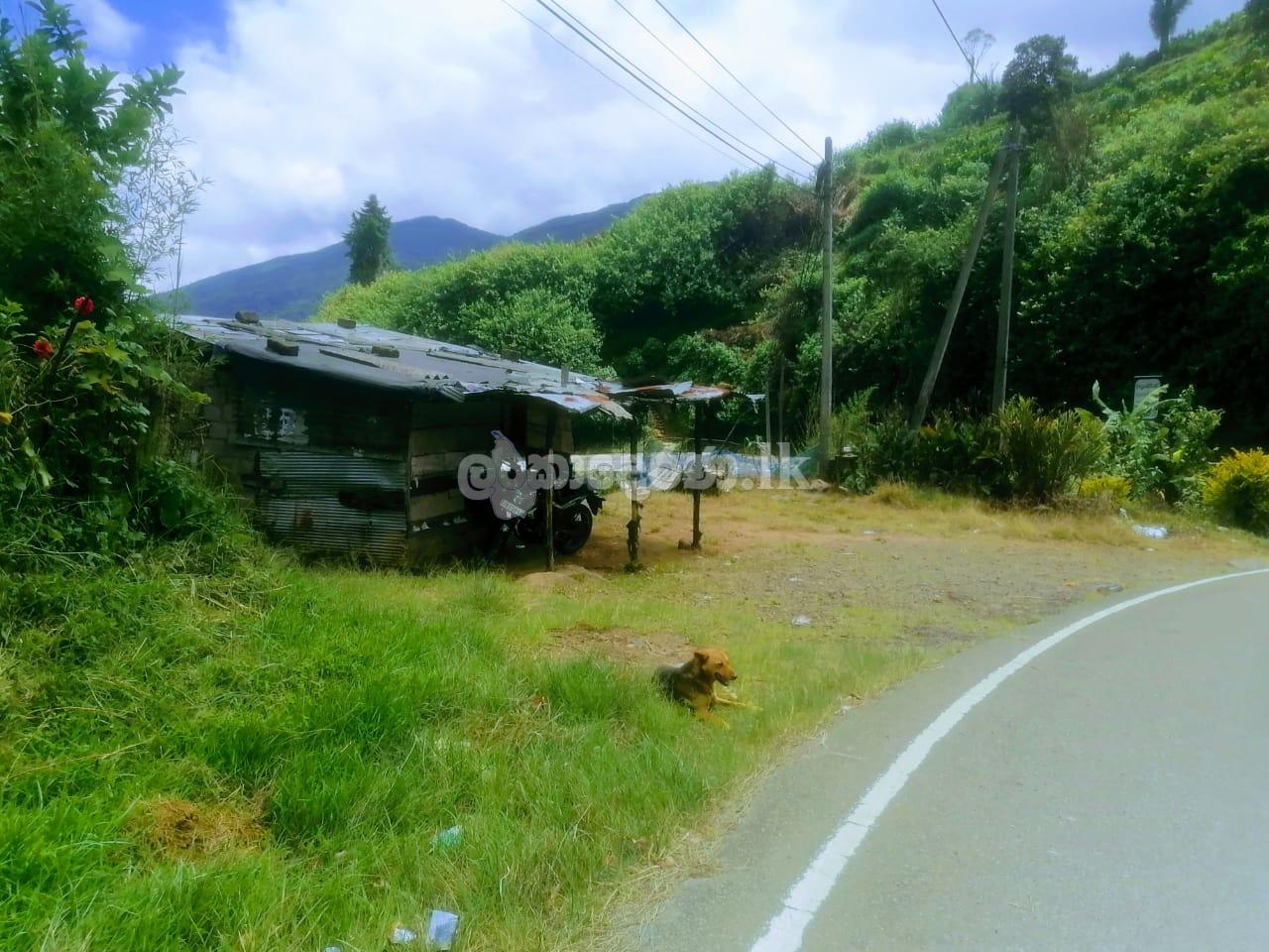 Land in Nuwaraelliya