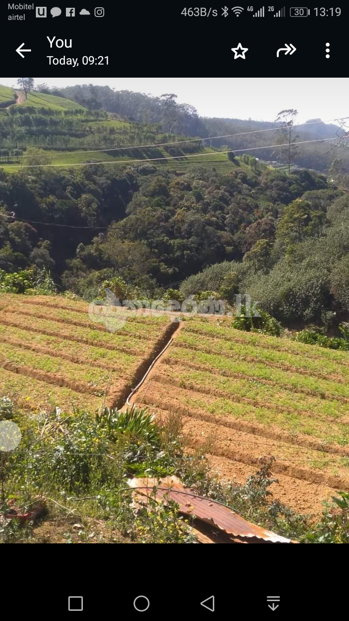 Land in Nuwaraelliya
