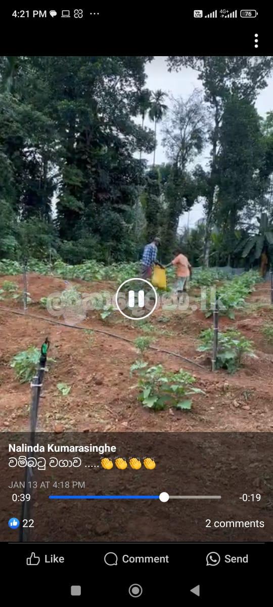 Dodangoda land for Sale