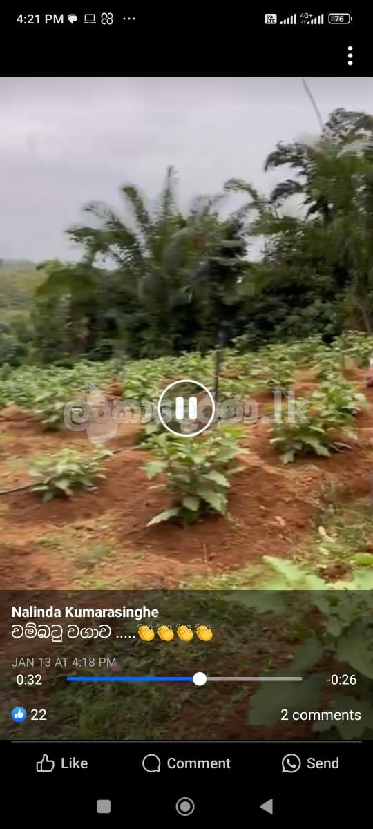 Dodangoda land for Sale