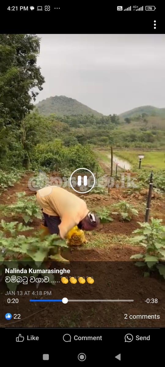 Dodangoda land for Sale