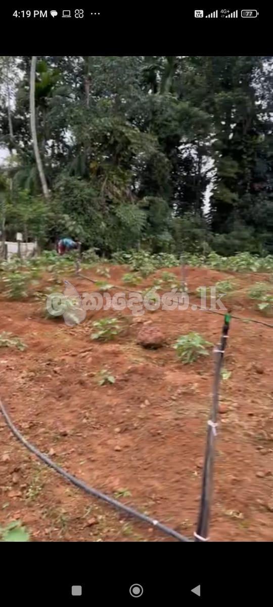 Dodangoda land for Sale