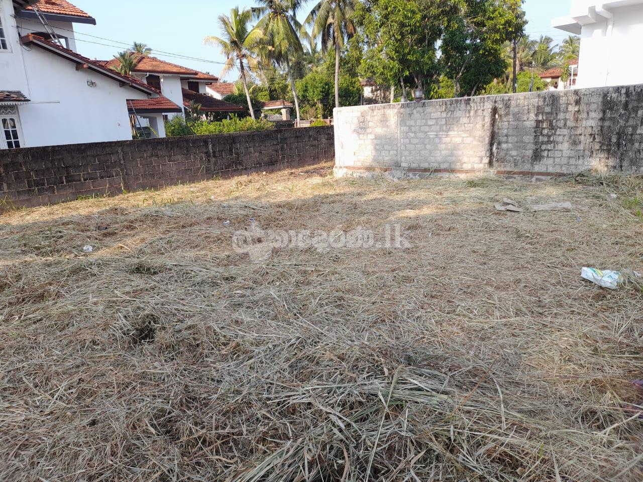 Land for sale