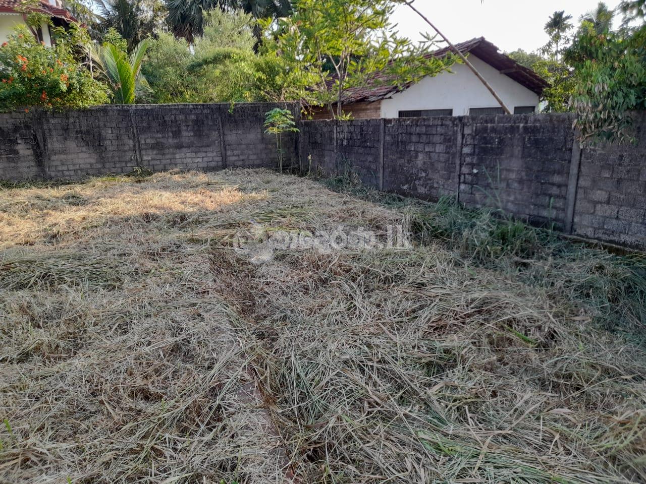 Land for sale