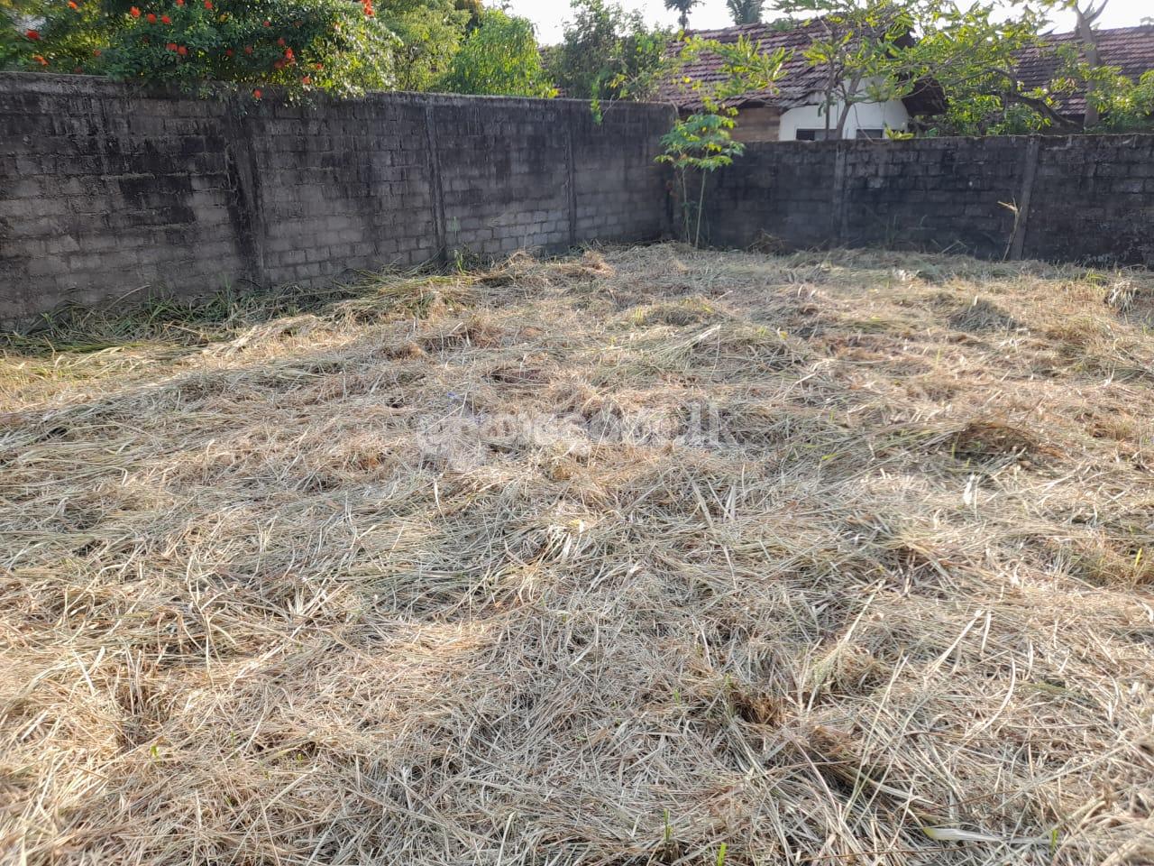 Land for sale